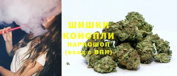 наркотики Бородино