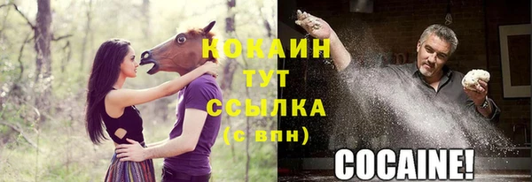 наркотики Бородино