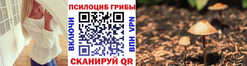 MEGA вход  Яровое  Галлюциногенные грибы Psilocybe 